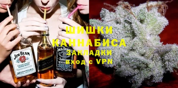 ГАЛЛЮЦИНОГЕННЫЕ ГРИБЫ Инсар