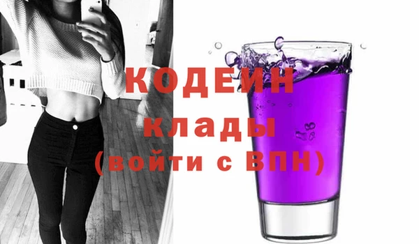 ГАЛЛЮЦИНОГЕННЫЕ ГРИБЫ Инсар
