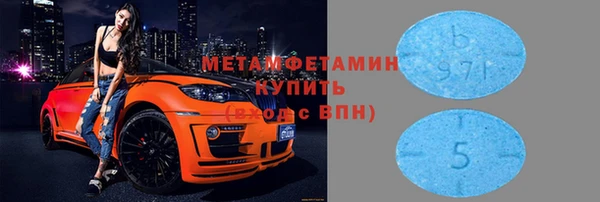 ГАЛЛЮЦИНОГЕННЫЕ ГРИБЫ Инсар