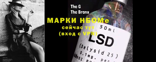 ГАЛЛЮЦИНОГЕННЫЕ ГРИБЫ Инсар