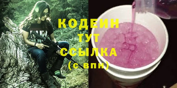 ешки Иннополис