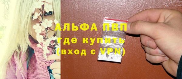 ешки Иннополис