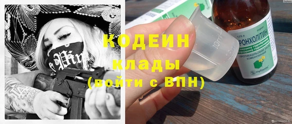 ешки Иннополис