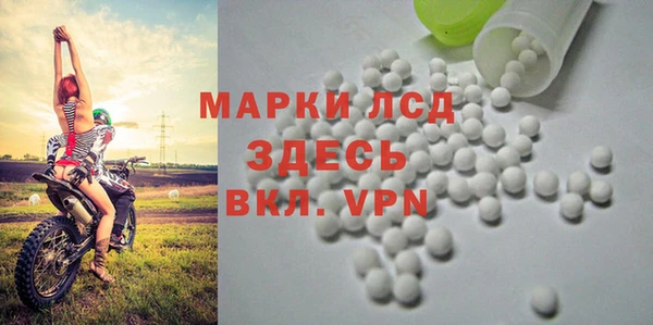 ГАЛЛЮЦИНОГЕННЫЕ ГРИБЫ Инсар
